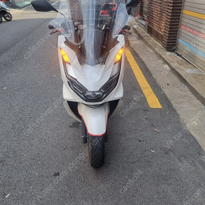 pcx125 abs 24년형 23년식 판매합니다 이쁘고 깔끔합니다