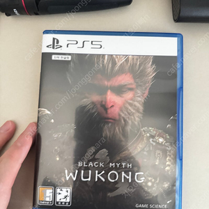 PS5 검은신화 오공 입니다 택포