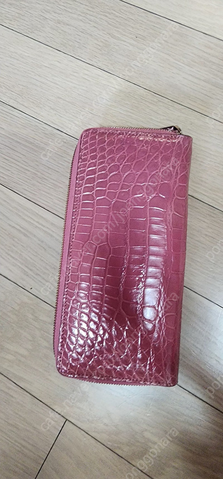 여성악어지갑 여성장지갑--3