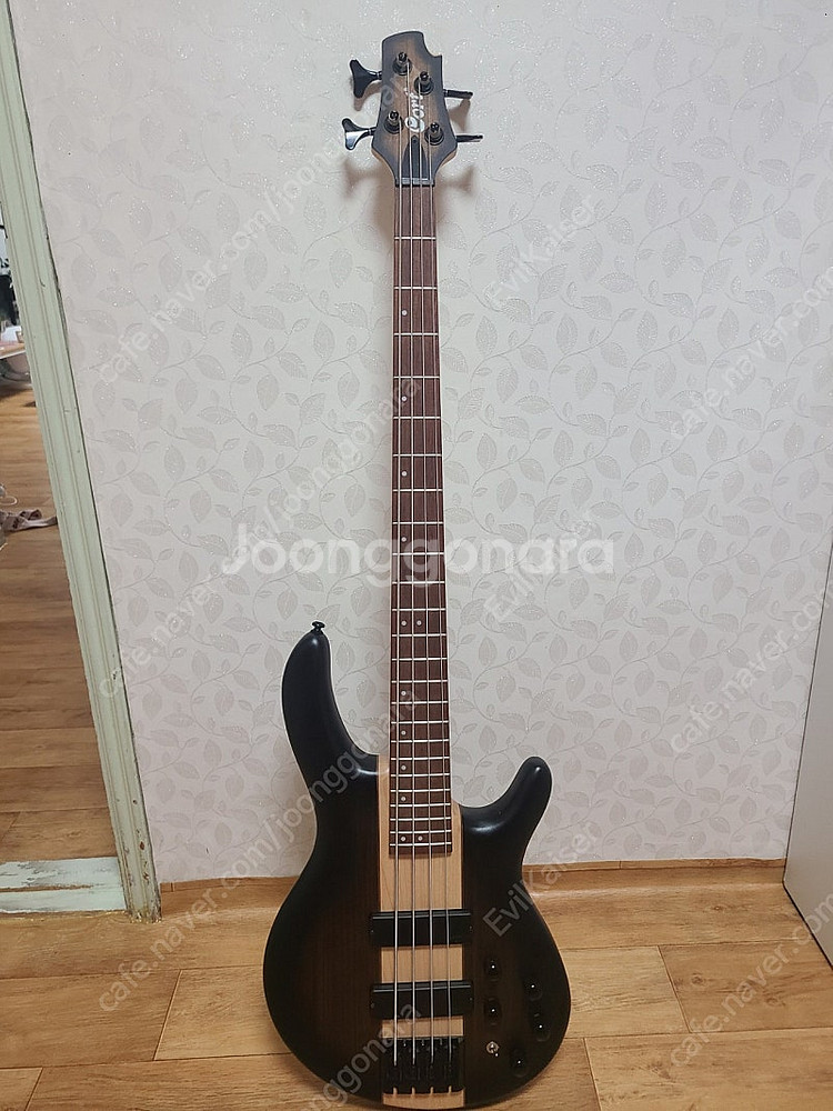 콜트 C4 PLUS OVMH 베이스 기타--0