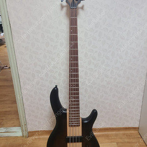 콜트 C4 PLUS OVMH 베이스 기타