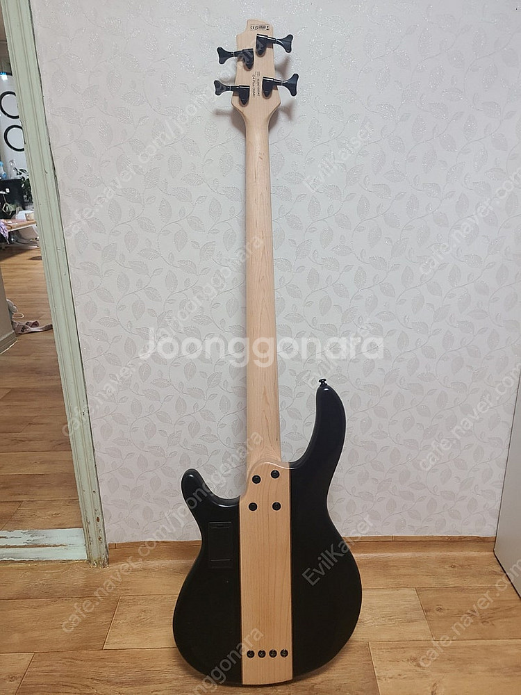 콜트 C4 PLUS OVMH 베이스 기타--1
