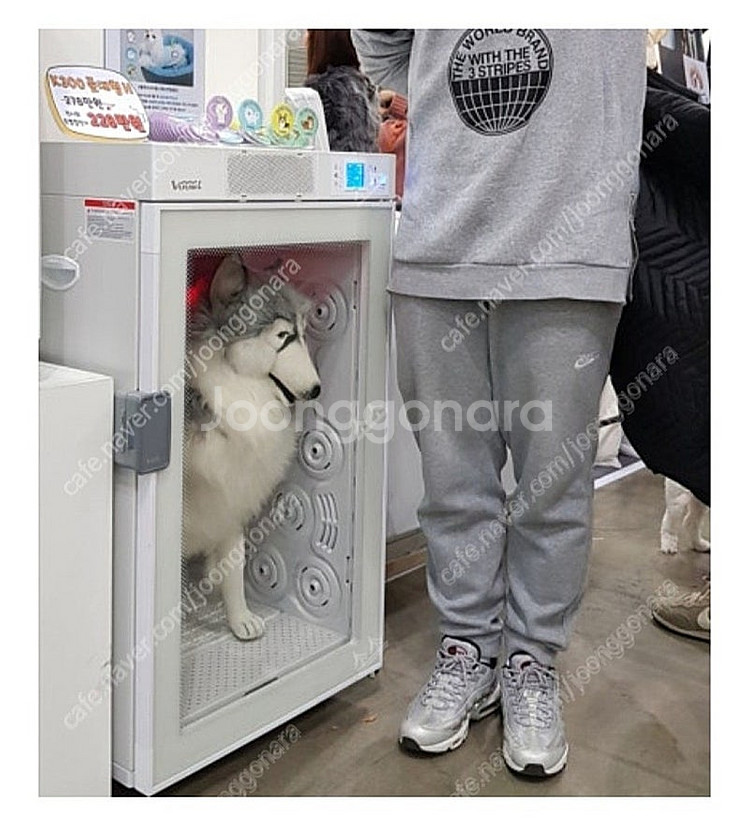 붐펫 드라이룸 K300H--2
