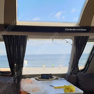 영국식 스위프트카라반 셀레브레이션554팝니다