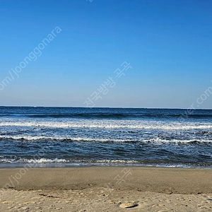 6월7월8월 무창포 비체팰리스. 평창 휘닉스파크 양도합니다