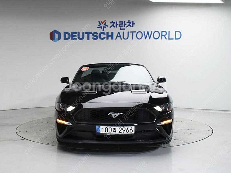 포드 머스탱 중고 머스탱 중고차 2019년식 42,32...--3