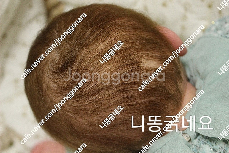 리본돌--4