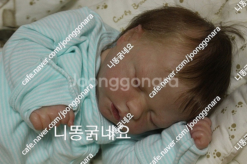 리본돌--1