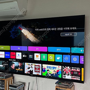 LG 올레드 65인치 OLED65C2SNC