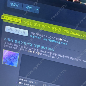 스텔라 블레이드 니케 코드 팝니다