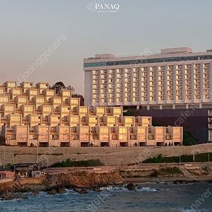 @7월26토8월2토~15 16~쏠비치~파나크영덕 풀빌라~소노벨 천안/변산/단양~소노캄 거제/오크밸리