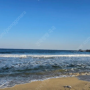 6월7월8월 무창포 비체팰리스. 평창 휘닉스파크 양도합니다