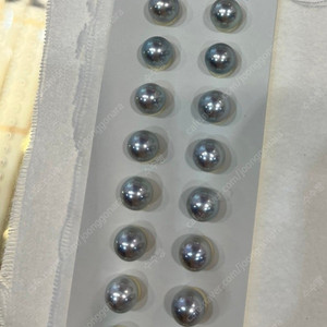 블루아코야진주 나석2p, 페어컷루비 2p