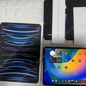 아이패드프로 11 4세대(M2) Wi-Fi + 셀룰러