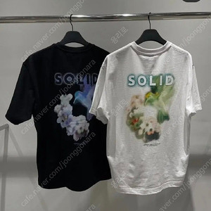 솔리드옴므 24ss 허밍버드 반팔티 (새상품)