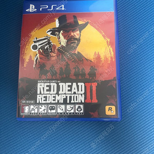 ps4 레드데드리셈션2