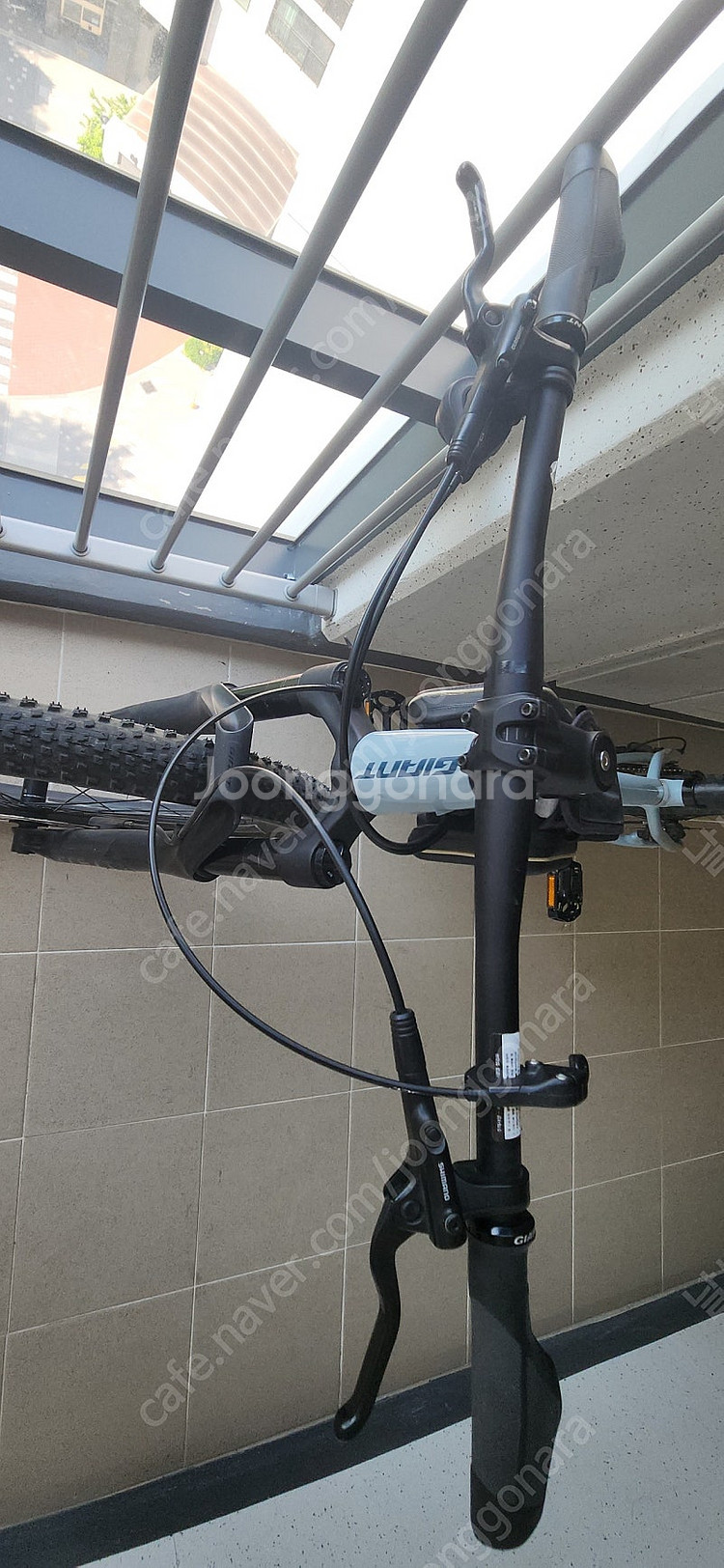 자이언트 XTC SLR 2 29인치 (판매 or 로드 ...--3