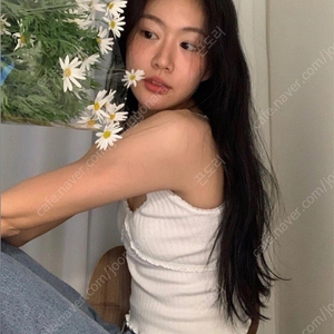 포에토 슬리브리스 나시