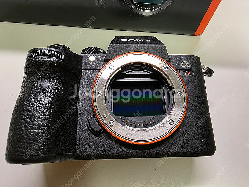 SONY A7R3 [약4500컷] [스몰리그 마운트플레...--3
