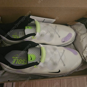 나이키 리액트 에이스투어 골프화