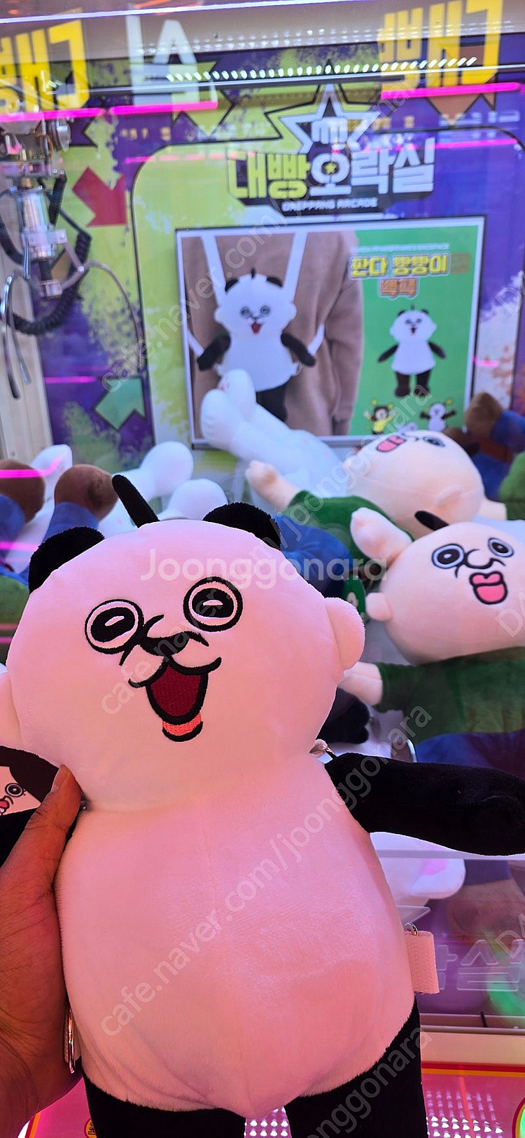 정품인형 빵빵이/한교동(산리오)/월레스와 그로밋(맥그로...--0