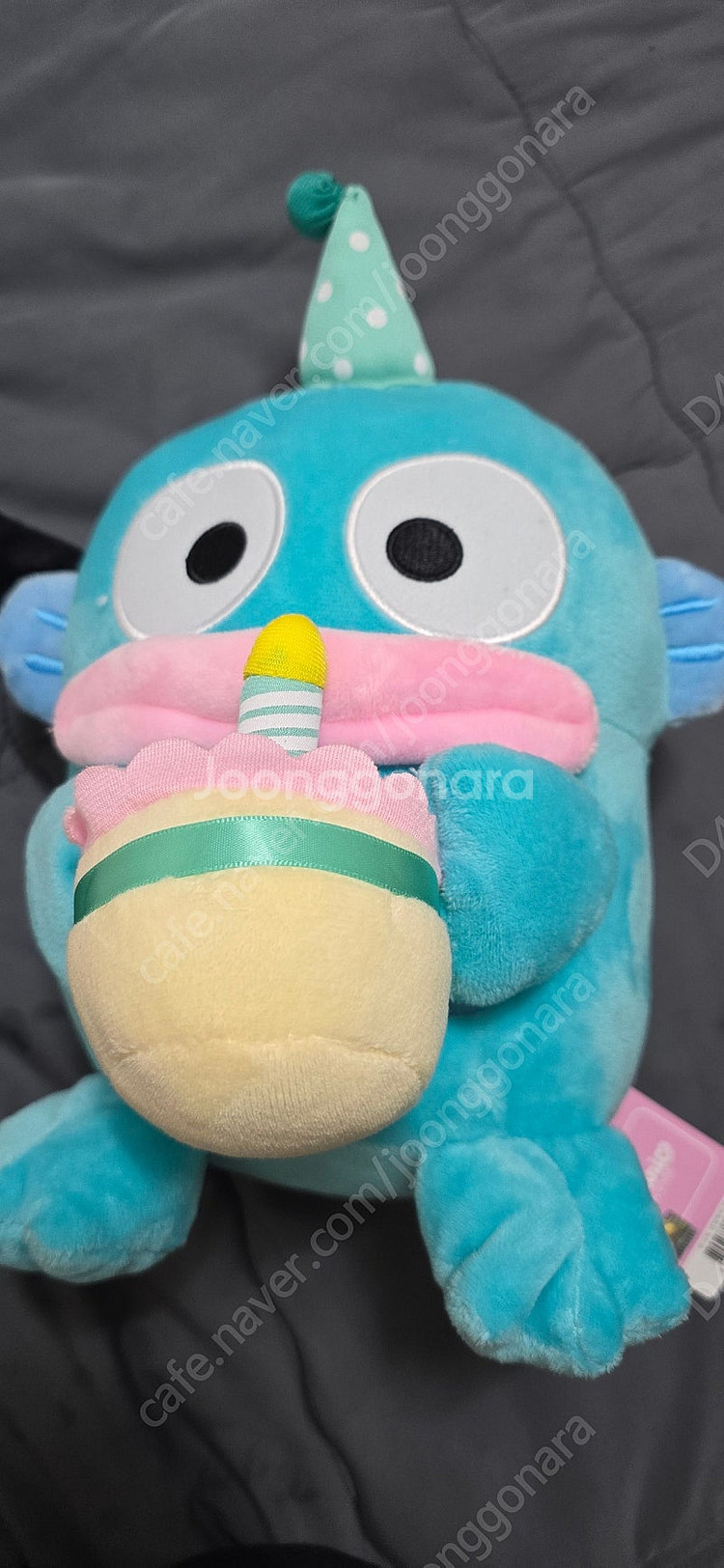정품인형 빵빵이/한교동(산리오)/월레스와 그로밋(맥그로...--4