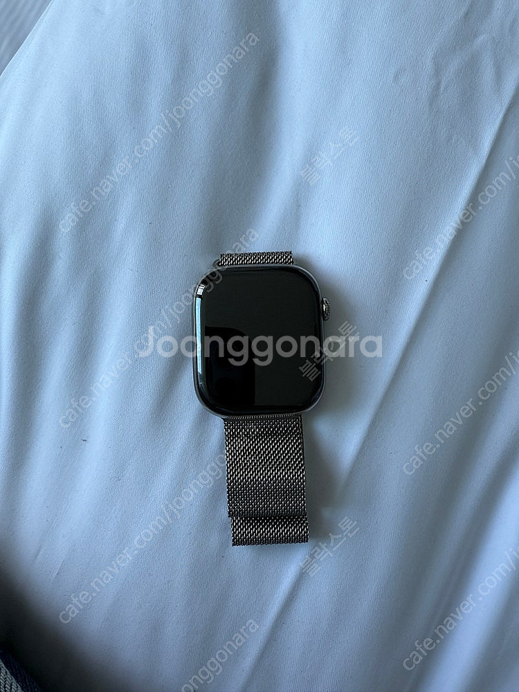 애플워치10 티타늄 내추럴 밀레니즈루프 46mm M/L...--0