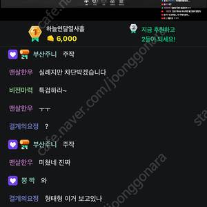 스블 홍련스킨 구매합니다