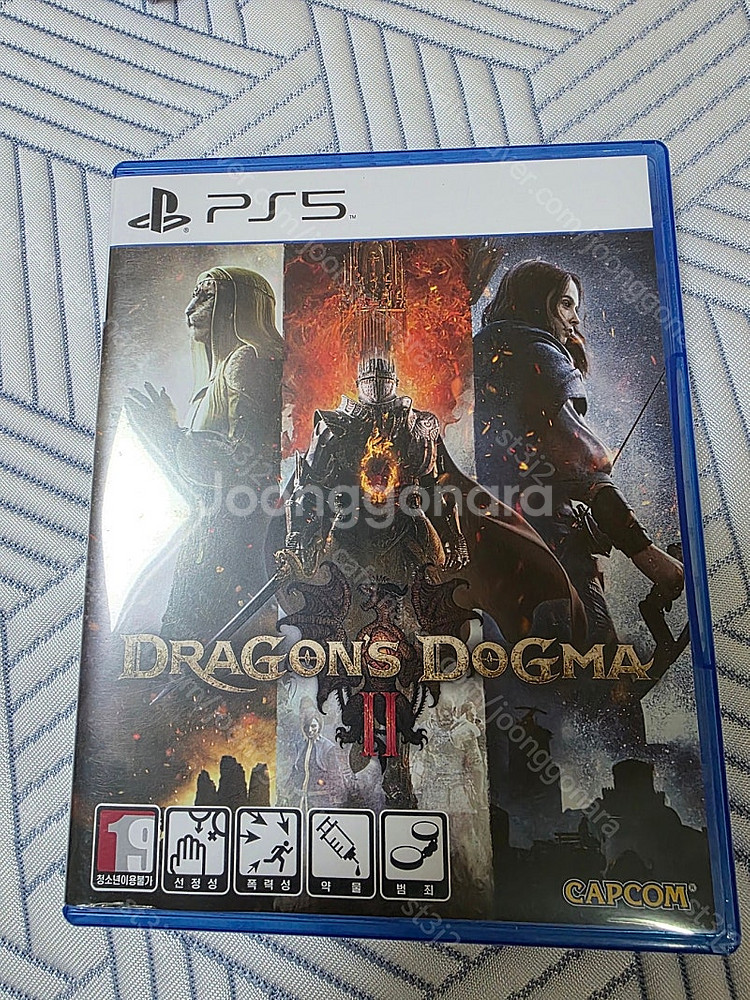 PS5 드래곤즈 도그마2--0