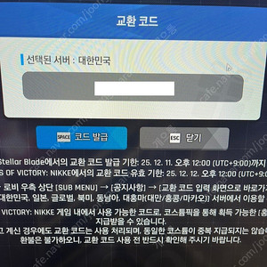 스텔라블레이드 니케 코스튬 코드 팝니다.