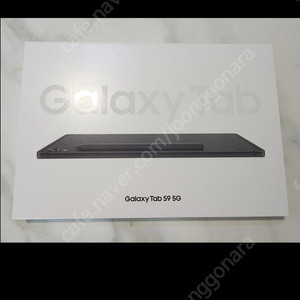 갤럭시탭 s9 5g 256기가