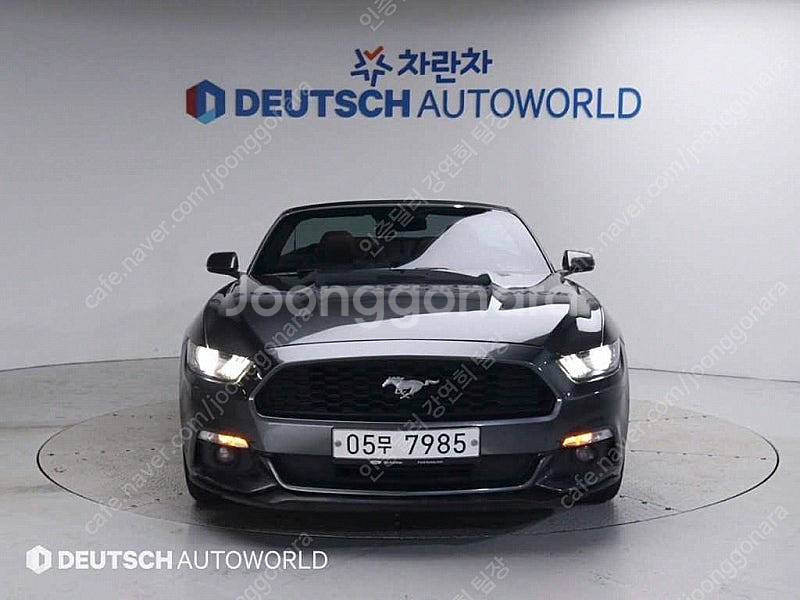 포드 머스탱 중고 머스탱 중고차 회색 2017년식 81...--3