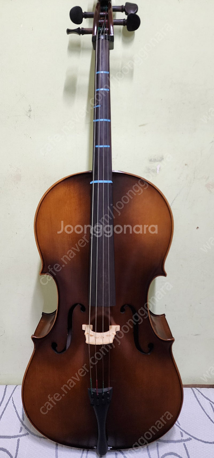 첼로 가격제시 부탁드립니다--0