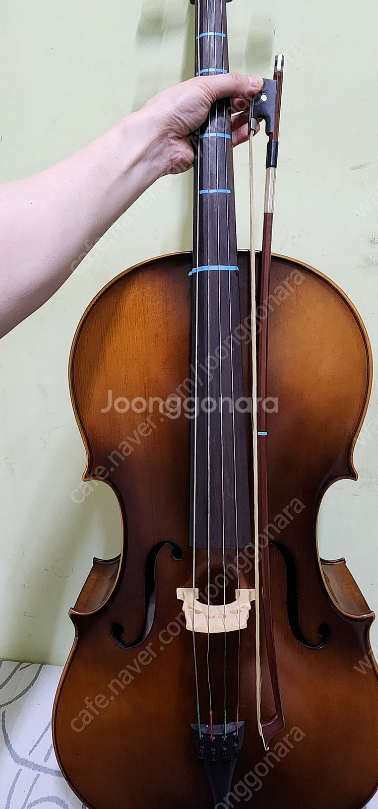 첼로 가격제시 부탁드립니다--7