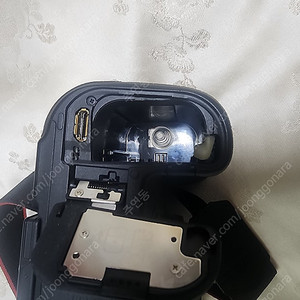 캐논 r6 markii