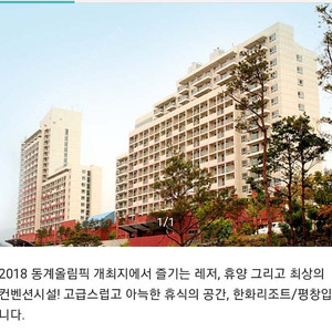 6월7월8월 휘닉스파크 평창. 무창포 비체펠리스 양도합니다