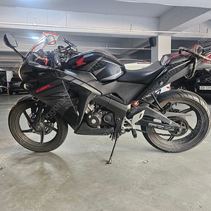 cbr125 팔아요 R3/닌자300 만 대차 해요