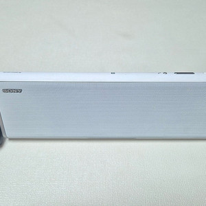 소니 블루투스 스피커(SRS-BTX300)