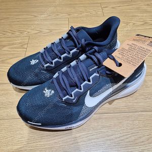 (270mm) 나이키 페가수스41 NFL 별주모델 새제품 판매합니다.