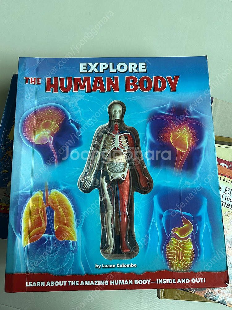 영어책 영어원서 디즈니 스토리북 포함 택포--3