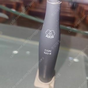 AKG CGN 523 E 2개 일괄(콘덴서 구즈넥 마이크)
