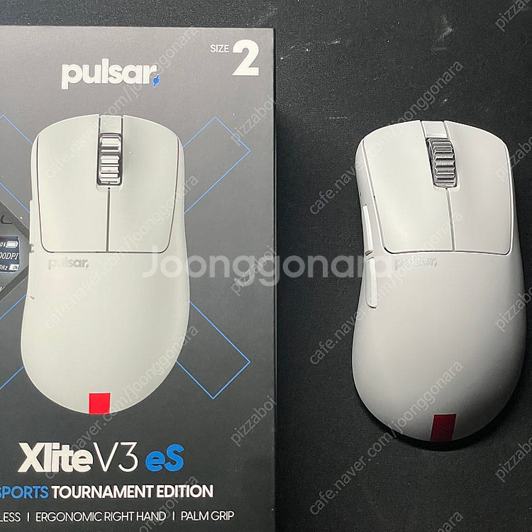 펄사 xlite v3 es 화이트 판매합니다--0