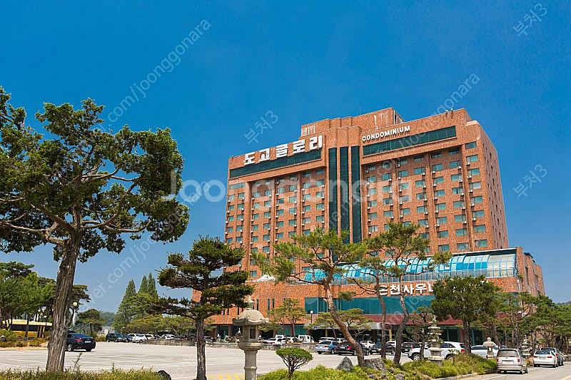완료 캔싱턴리조트 도고 28평 미통합회원권 1구좌 양도...--0