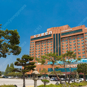 완료 캔싱턴리조트 도고 28평 미통합회원권 1구좌 양도합니다