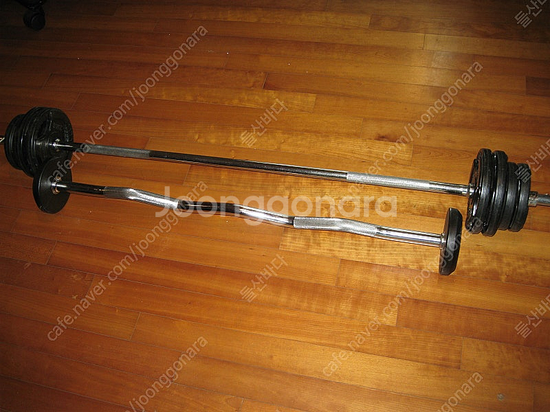 덤벨, 바벨 팝니다--1