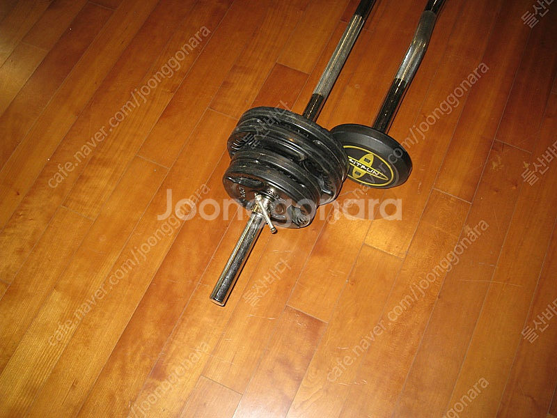 덤벨, 바벨 팝니다--3