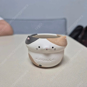 화분 어뮤즈팟 묘식 쪼꼬미 삼색 새상품