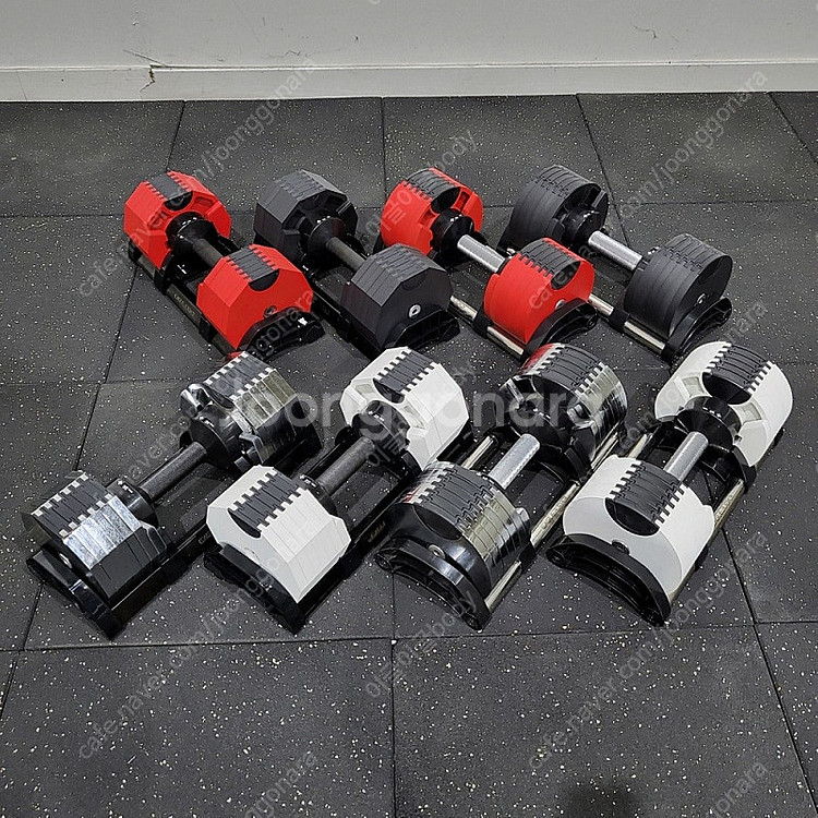 무게조절덤벨 20kg~43kg 새상품 최저가--1