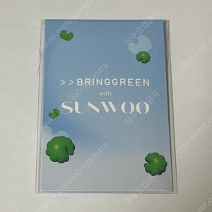 브링그린 선우 포카 이천원
