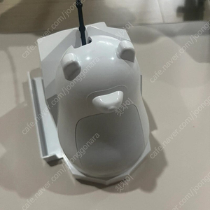 베이비폴라베어